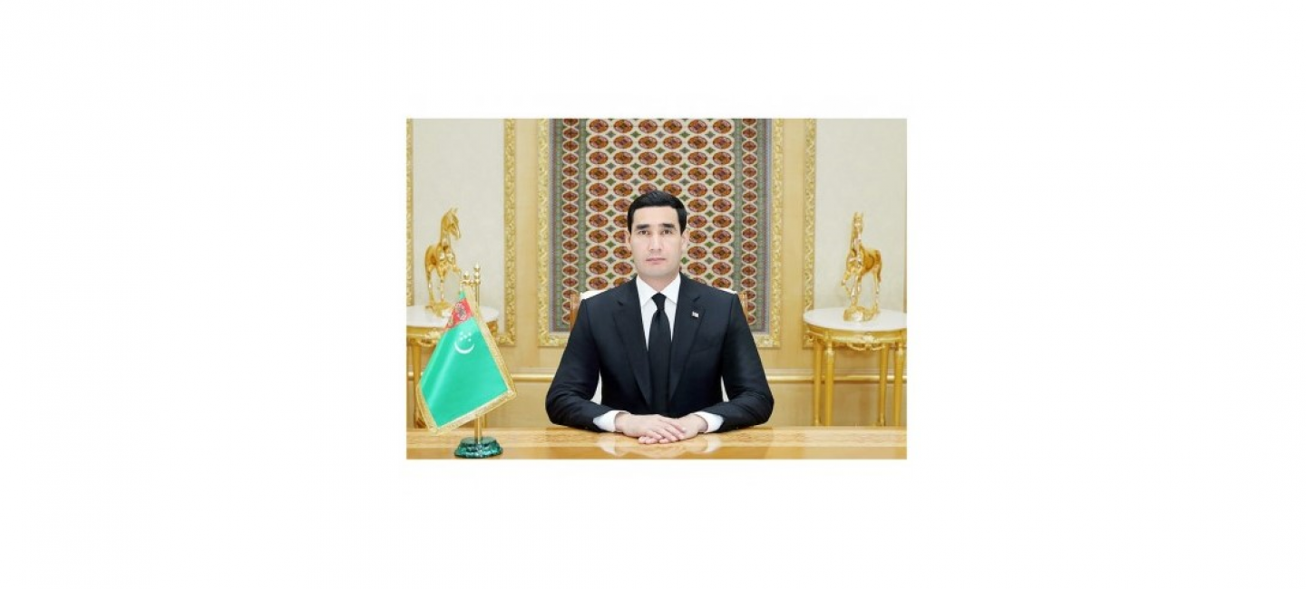 THE PRESIDENT OF TURKMENISTAN RECEIVED THE MINISTER OF STATE FOR PETROLEUM OF THE ISLAMIC REPUBLIC OF PAKISTAN